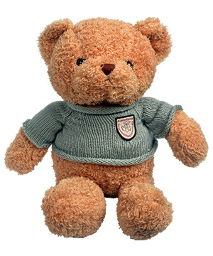 Teddy cá tính size 47