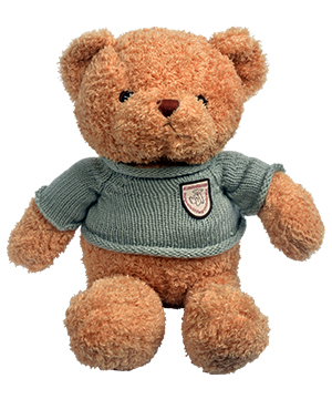 Teddy cá tính size 30