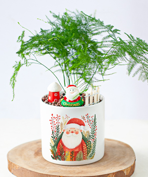 Kim thủy tùng giáng sinh