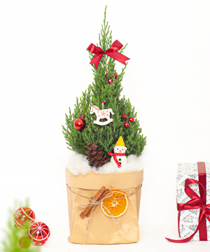 Thông noel size S mẫu 11