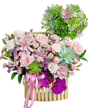 Màu nắng mới