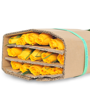 Hồng vàng Hà Lan (30 cành)