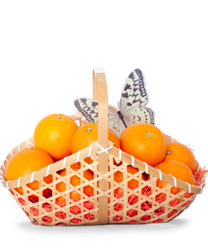 Set giỏ trái cây 09