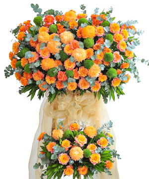 Vạn sự cát tường 2