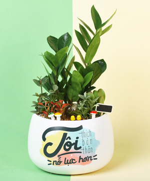 Nỗ Lực