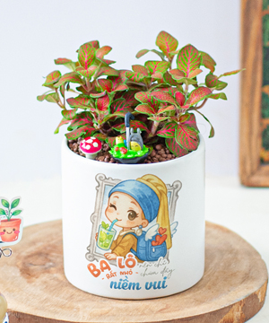 Niềm vui nhỏ