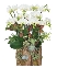 Hồ điệp mini 07