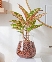Thịnh vượng thủy sinh C032