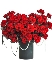Red love