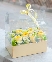 Sunshine flower box