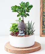 Tịnh tâm