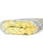 Hồng Victor (10 cành)