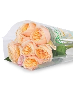 Hồng Juliet (10 cành)