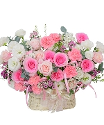 Bông hoa đẹp nhất