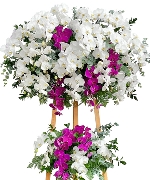 With deepest sympathy