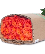 Hồng Quốc Vương (30 cành)