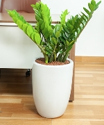 Kim tiền văn phòng