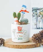 Xương rồng mix 2