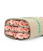 Hồng shimmer (30 cành)