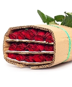 Hồng đỏ Jogder (30 cành)