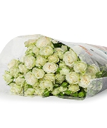 Hồng chùm trắng star (10 cành)