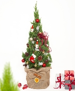 Thông noel size L mẫu 8