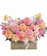 Blossom garden