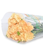 Cẩm chướng đơn cam nhạt (20 cành)