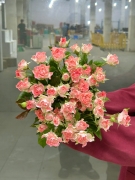 Hồng chùm nữ hoàng (10 cành)