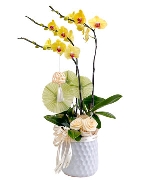 Quà tặng hồ điệp 09