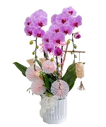Quà tặng hồ điệp 10