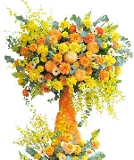 Rực rỡ vươn xa