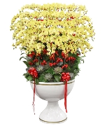 Như ý khải hoàn