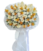 Cát bụi