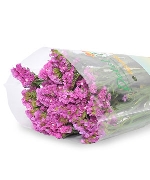 Salem tím nhạt (500g)