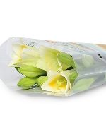 Lys - Loa kèn Đà Lạt (8-10 bông)