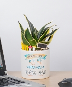 Cuộc sống rực rỡ