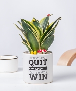 Never quit