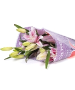 Lily kép hồng tươi (5 cành)