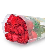 Red Elegance (10 cành)