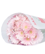 Đồng tiền hồng nhạt nhí (20 cành)